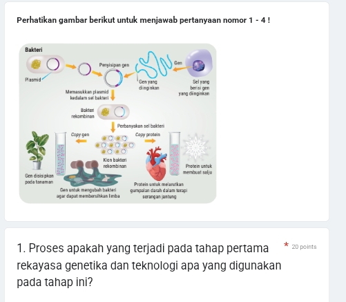 Perhatikan gambar berikut untuk menjawab pertanyaan nomor 1 - 4 ! 
1. Proses apakah yang terjadi pada tahap pertama 20 points 
rekayasa genetika dan teknologi apa yang digunakan 
pada tahap ini?