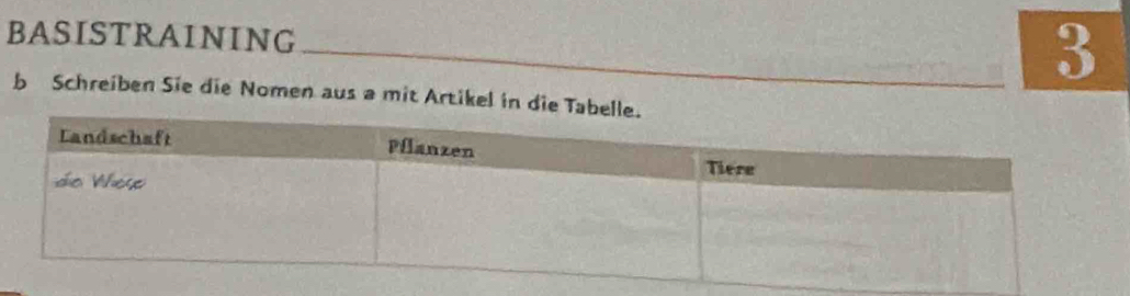 BASISTRAINING 
3 
b Schreiben Sie die Nomen aus a mit Artikel in die T