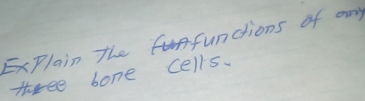 ExPlain the functions of any 
three bone cells.