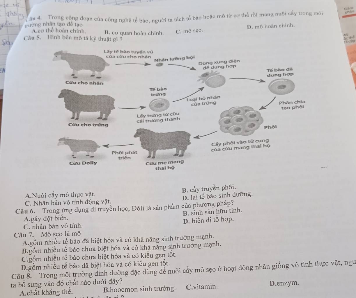 phân
âu 4. Trong công đoạn của công nghệ tế bào, người ta tách tế bào hoặc mô từ cơ thể rồi mang nuôi cấy trong môi Giám
tường nhân tạo để tạo
A.cơ thể hoàn chỉnh. B. cơ quan hoàn chinh. C. mô sẹo. D. mô hoàn chinh.
46
Câu 5. Hình bên mô tả kỹ thuật gì ?
ác thể
3 cập
EA
A.Nuôi cấy mô thực vật. B. cấy truyền phôi.
C. Nhân bản vô tính động vật. D. lai tế bào sinh dưỡng.
Câu 6. Trong ứng dụng di truyền học, Đôli là sản phẩm của phương pháp?
Agây đột biến. B. sinh sản hữu tính.
C. nhân bản vô tính. D. biến dị tổ hợp.
Câu 7. Mô sẹo là mô
A.gồm nhiều tế bào đã biệt hóa và có khả năng sinh trưởng mạnh.
B.gồm nhiều tế bào chưa biệt hóa và có khả năng sinh trưởng mạnh.
C.gồm nhiều tế bào chưa biệt hóa và có kiểu gen tốt.
D.gồm nhiều tế bào đã biệt hóa và có kiểu gen tốt.
Câu 8. Trong môi trường dinh dưỡng đặc dùng để nuôi cấy mô sẹo ở hoạt động nhân giống vô tính thực vật, ngư
ta bổ sung vào đó chất nào dưới đây?
A.chất kháng thể. B.hoocmon sinh trưởng. C.vitamin.
D.enzym.