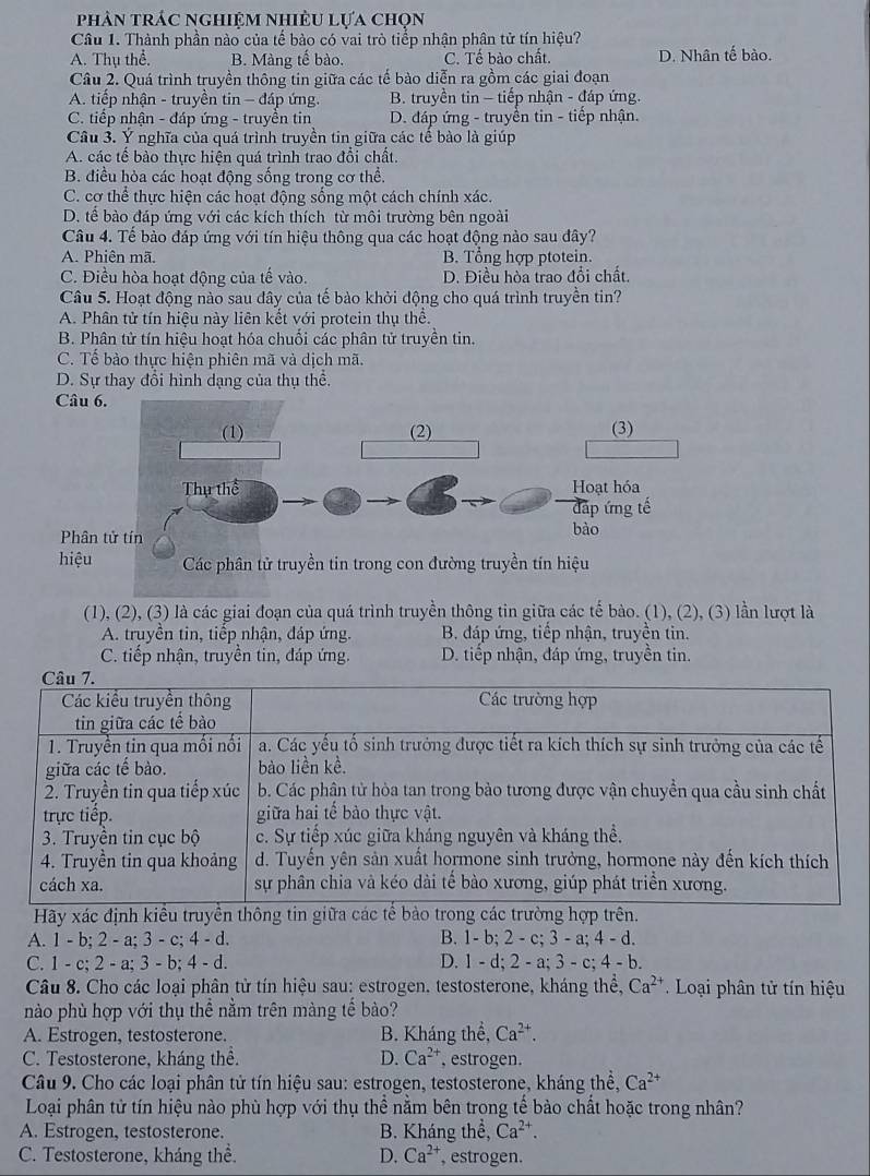 phân trác nghiệm nhiều Lựa chọn
Câu 1. Thành phần nào của tế bào có vai trò tiểp nhận phân tử tín hiệu?
A. Thụ thể. B. Màng tế bào. C. Tế bào chất. D. Nhân tế bào.
Câu 2. Quá trình truyền thông tin giữa các tế bào diễn ra gồm các giai đoạn
A. tiếp nhận - truyền tin - đáp ứng. B. truyền tin - tiếp nhận - đáp ứng.
C. tiếp nhận - đáp ứng - truyên tin D. đáp ứng - truyền tin - tiếp nhận.
Câu 3. Ý nghĩa của quá trình truyền tin giữa các tế bào là giúp
A. các tế bảo thực hiện quá trình trao đổi chất.
B. điều hòa các hoạt động sống trong cơ thể.
C. cơ thể thực hiện các hoạt động sống một cách chính xác.
D. tế bào đáp ứng với các kích thích từ môi trường bên ngoài
Câu 4. Tế bào đáp ứng với tín hiệu thông qua các hoạt động nào sau đây?
A. Phiên mã. B. Tổng hợp ptotein.
C. Điều hòa hoạt động của tế vào. D. Điều hòa trao đổi chất.
Câu 5. Hoạt động nào sau đây của tế bào khởi động cho quá trình truyền tin?
A. Phân tử tín hiệu này liên kết với protein thụ thể.
B. Phân tử tín hiệu hoạt hóa chuối các phân tử truyền tin.
C. Tế bào thực hiện phiên mã và dịch mã.
D. Sự thay đổi hình dạng của thụ thể.
Câu 
Phân
hiệu
(1), (2), (3) là các giai đoạn của quá trình truyền thông tin giữa các tế bào. (1), (2), (3) lần lượt là
A. truyền tin, tiếp nhận, đáp ứng. B. đáp ứng, tiếp nhận, truyền tin.
C. tiếp nhận, truyền tin, đáp ứng. D. tiếp nhận, đáp ứng, truyền tin
Hãy xác định kiều trun.
A. 1 - b; 2 - a; 3 - c;4-d. B. 1- b; 2 - c; 3 - a; 4 - d.
C. 1 - c; 2 - a; 3 - b:4-d D. 1 - d; 2 - a; 3 - c; 4 - b.
Câu 8. Cho các loại phân tử tín hiệu sau: estrogen. testosterone, kháng thể, Ca^(2+) Loại phân tử tín hiệu
nào phù hợp với thụ thể nằm trên màng tề bào?
A. Estrogen, testosterone. B. Kháng thể, Ca^(2+).
C. Testosterone, kháng thể. D. Ca^(2+) , estrogen.
Câu 9. Cho các loại phân tử tín hiệu sau: estrogen, testosterone, kháng thể, Ca^(2+)
Loại phân tử tín hiệu nào phù hợp với thụ thể năm bên trong tế bào chất hoặc trong nhân?
A. Estrogen, testosterone. B. Kháng thhat e,Ca^(2+).
C. Testosterone, kháng thể. D. Ca^(2+) ,estrogen.