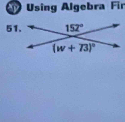 Using Algebra Fin
51.