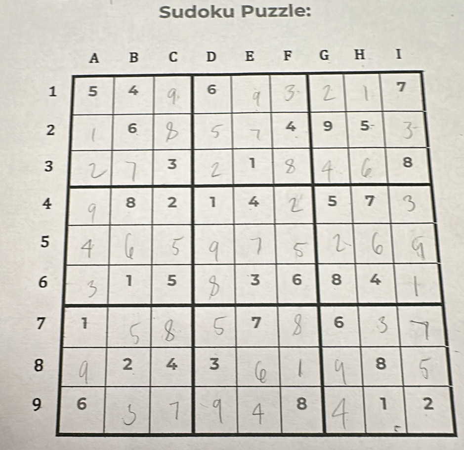 Sudoku Puzzle: