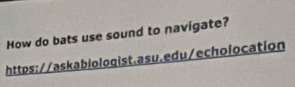 How do bats use sound to navigate? 
https://askabiologist.asu.edu/echolocation