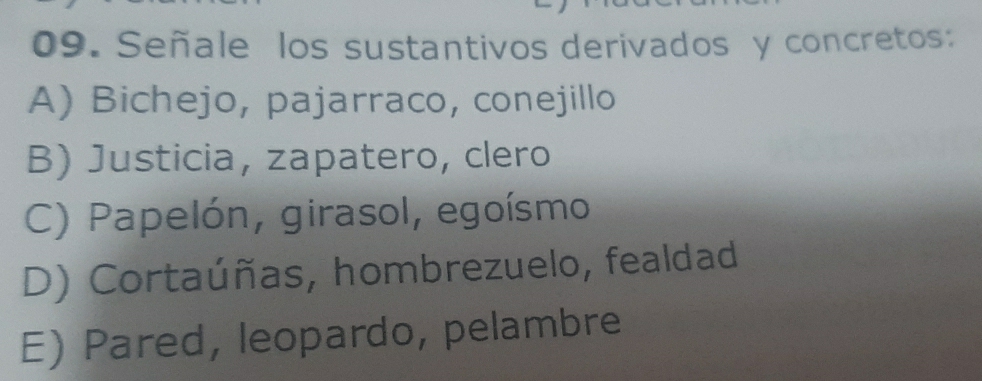 Señale los sustantivos derivados y concretos:
A) Bichejo, pajarraco, conejillo
B) Justicia, zapatero, clero
C) Papelón, girasol, egoísmo
D) Cortaúñas, hombrezuelo, fealdad
E) Pared, leopardo, pelambre