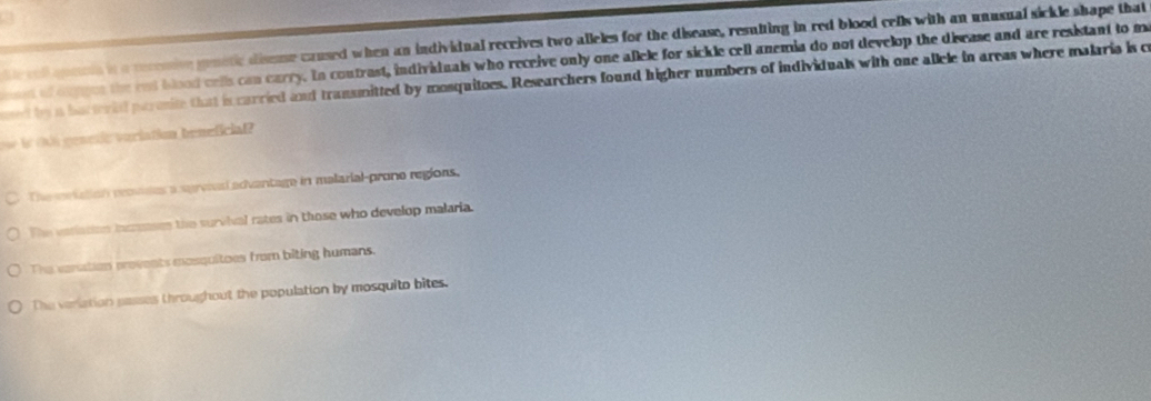 a
te of qoen is a recemsive genetic diseme caused when an individual receives two alleles for the disease, resulting in red blood cells with an unusual sickle shape that
est of oupges the ret blood cells can carry. In contrast, individuals who receive only one allele for sickle cell anemia do not develop the disease and are resistant to m
med by a barterid paronite that is carried and transmitted by mosquitoes. Researchers found higher numbers of individuals with one allele in areas where malaria is c
is tis genetic veriation beneficial
The meiation rovdes a sprvned advantage in malarial-prono regions.
The veriacios incnases the suriival rates in those who develop malaria.
The versation provents mosquitoes from biting humans.
The veriation passes throughout the population by mosquito bites.