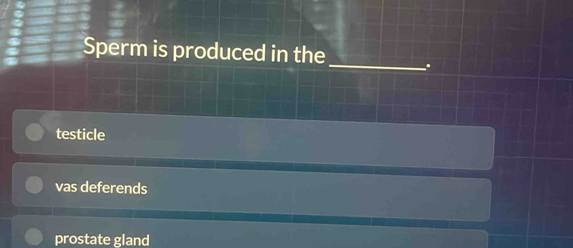 Sperm is produced in the
_
.
testicle
vas deferends
prostate gland