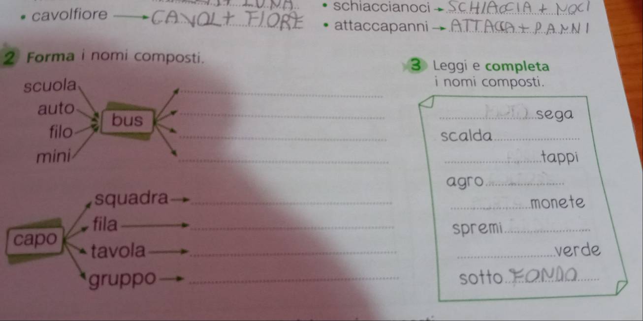 cavolfiore 
_schiaccianoci _ 
_ 
attaccapanni_ 
2 Forma i nomi composti. 3 Leggi e completa 
scuola 
_ 
i nomi composti. 
auto 
bus __sega 
filo _scalda_ 
mini __tappi 
agro_ 
squadra_ 
_monete 
fila 
capo _spremi_ 
tavola __verde 
gruppo _sotto_