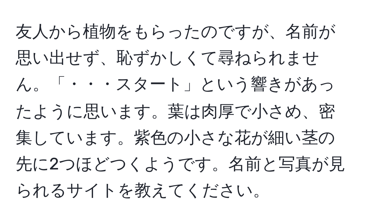 友人から植物をもらったのですが、名前が思い出せず、恥ずかしくて尋ねられません。「・・・スタート」という響きがあったように思います。葉は肉厚で小さめ、密集しています。紫色の小さな花が細い茎の先に2つほどつくようです。名前と写真が見られるサイトを教えてください。