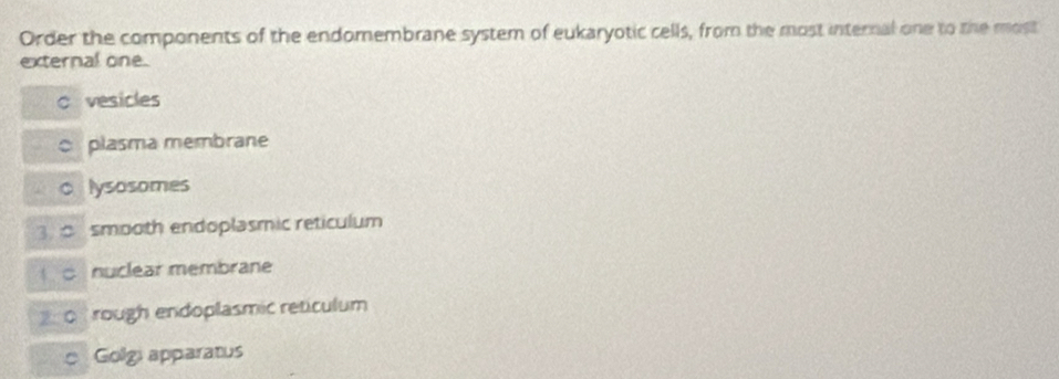 Order the components of the endomembrane system of eukaryotic cells, from the most internal one to the most
external one.
c vesicles
c plasma membrane
。 lysosomes
3. smooth endoplasmic reticulum
nuclear membrane
o rough endoplasmic reticulum
c Golgi apparatus