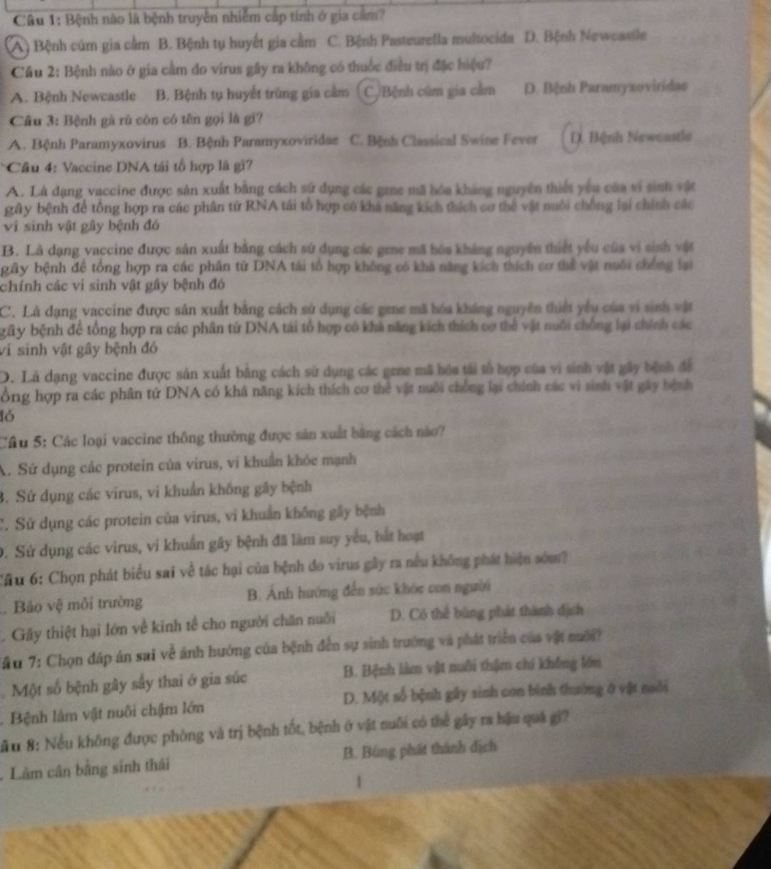 Bệnh nào là bệnh truyền nhiễm cấp tính ở gia cầm?
(A) Bệnh cúm gia cầm B. Bệnh tụ huyết gia cầm C. Bệnh Pasteurella multocida D. Bệnh Newcastle
Câu 2: Bệnh nào ở gia cầm do virus gây ra không có thuốc điều trị đặc hiệu?
A. Bệnh Newcastle B. Bệnh tụ huyết trùng gia cảm C Bệnh cúm gia cầm D. Bệnh Paramyxoviridae
Câu 3: Bệnh gà rù còn có tên gọi là gi?
A. Bệnh Paramyxovirus B. Bệnh Paramyxoviridae C. Bệnh Classical Swine Fever D. Bệnh Newcastle
* Câu 4: Vaccine DNA tái tổ hợp là gi?
A. Là đạng vaccine được sản xuất bằng cách sử dụng các gene mã hóa kháng nguyên thiết yểu của vi sinh vật
gây bệnh để tổng hợp ra các phân tử RNA tái tổ hợp có khả năng kích thích cơ thể vật nuôi chống lại chính các
vi sinh vật gây bệnh đó
B. Là dạng vaccine được sản xuất bằng cách sử dụng các gee mã hóa kháng nguyên thiết yếu của vi sinh vật
gây bệnh để tổng hợp ra các phân tử DNA tái tổ hợp không có khả năng kích thích cơ thể vật nuổi chống lại
chính các vi sinh vật gây bệnh đó
C. Là đạng vaccine được sân xuất bằng cách sử dụng các gene mã hóa kháng nguyên thiết yêu của vì sinh vật
bây bệnh để tổng hợp ra các phân tứ DNA tái tổ hợp có khả năng kích thích cơ thể vật nuôi chống lại chính các
ví sinh vật gây bệnh đó
D. Là dạng vaccine được sản xuất bằng cách sử dụng các gene mã hóa tái tố hợp của vi sinh vật gây bệnh để
ồng hợp ra các phân tử DNA có khá năng kích thích cơ thể vật nuôi chống lại chính các vì sinh vật gây bệnh
ló
Cầu 5: Các loại vaccine thông thường được sản xuất bằng cách nào?
A. Sử dụng các protein của virus, vi khuẩn khỏc mạnh
3. Sử dụng các virus, vi khuẩn không gây bệnh
C. Sử dụng các protein của virus, vì khuẩn không gây bệnh
D. Sử dụng các virus, vi khuẩn gây bệnh đã làm suy yêu, bắt hoạt
Cầu 6: Chọn phát biểu sai về tác hại của bệnh đo virus gây ra nều không phát hiện sớm?
Bảo vệ mỗi trường B. Ảnh hướng đến sức khóc con người
L. Gây thiệt hại lớn về kinh tể cho người chăn nuôi D. Có thể bùng phát thành địch
TAu 7: Chọn đáp án sai về ánh hưởng của bệnh đến sự sinh trưởng và phát triển của vật nuới
.  Một số bệnh gây sầy thai ở gia súc B. Bệnh làm vật nuôi thậm chi không lớn
. Bệnh làm vật nuôi chậm lớn D. Một số bệnh gây sinh con bình thường ở vật nuôi
S u 8: Nếu không được phòng và trị bệnh tốt, bệnh ở vật nuôi có thể gây ra hậu quá gi?
. Lâm cân bằng sinh thái B. Bùng phát thành dịch
