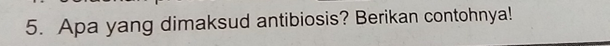 Apa yang dimaksud antibiosis? Berikan contohnya!