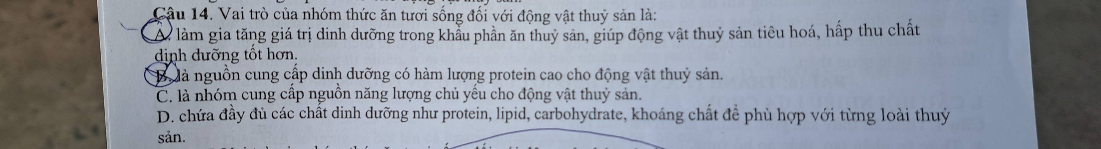 Cậu 14. Vai trò của nhóm thức ăn tươi sống đối với động vật thuỷ sản là:
A làm gia tăng giá trị dinh dưỡng trong khẩu phần ăn thuỷ sản, giúp động vật thuỷ sản tiêu hoá, hấp thu chất
dịnh dưỡng tốt hơn.
B là nguồn cung cấp dinh dưỡng có hàm lượng protein cao cho động vật thuỷ sản.
C. là nhóm cung cấp nguồn năng lượng chủ yếu cho động vật thuỷ sản.
D. chứa đầy đủ các chất dinh dưỡng như protein, lipid, carbohydrate, khoáng chất để phù hợp với từng loài thuỷ
sản.