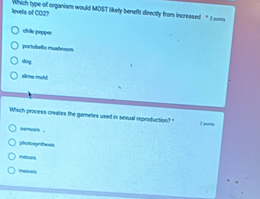 levels of CO2? which type of organism would MOST likely benefit directly from increased * 2 points
chile pepper
portobello mushroom
dog
siime mold
Which process creates the gametes used in sexual reproduction?" 2 points
osmosis 。
photosynthesis
mitosis
melosis