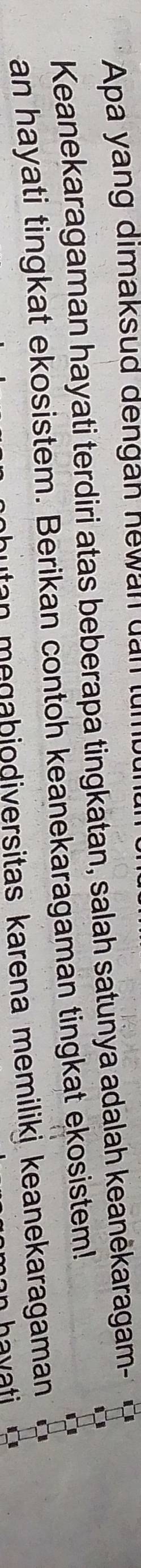 Apa yang dimaksud dengan hewan dấn tün 
Keanekaragaman hayati terdiri atas beberapa tingkatan, salah satunya adalah keanėkaragam- 
an hayati tingkat ekosistem. Berikan contoh keanekaragaman tingkat ekosistem! 
utan megabjodiversitas karena memilikj keanekaragaman 
havati