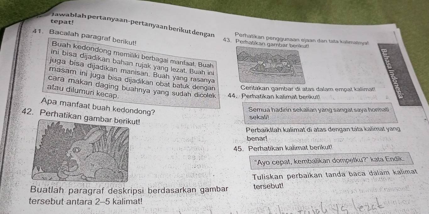 tepat! 
Jawablah pertanyaan-pertanyaan berikut dengan Perhatikan penggunaan ejaan dan tata kalimatnya! 
41. Bacalah paragraf berikut! 
43. Perhatikan gambar berikut! 
Buah kedondong memiliki berbagai manfaat. Buah 
ini bisa dijadikan bahan rujak yang lezat. Buah ini 
juga bisa dijadikan manisan. Buah yang rasanya 
masam ini juga bisa dijadikan obat batuk dengan Ceritakan gambar di atas dalam empat kalimat! 
cara makan daging buahnya yang sudah dicolek 44. Perhatikan kalimat berikut! 
atau dilumuri kecap. 
Apa manfaat buah kedondong? 
Semua hadirin sekalian yang sangat saya hormati 
42. Perhatikan gambar berikut! 
sekali! 
PerbaikIlah kalimat di atas dengan tata kalimat yang 
benar! 
45. Perhatikan kalimat berikut! 
“Ayo cepat, kembalikan dompetku?” kata Endik. 
Tuliskan perbaikan tanda baca dalam kalimat 
Buatlah paragraf deskripsi berdasarkan gambar tersebut! 
tersebut antara 2-5 kalimat!