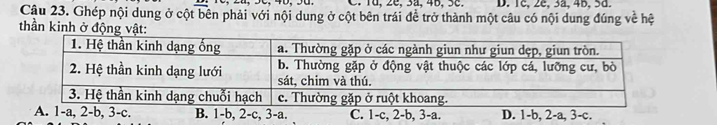 Td, 2ª, 3ª, 4b, 5c. D. 1c, 2é, 3ä, 4b, 5d.
Cậu 23. Ghép nội dung ở cột bên phải với nội dung ở cột bên trái đề trở thành một câu có nội dung đúng về hệ
thần kinh ở động vật:
A. 1 -a, 2-b, 3 -c. B. 1-b, 2-c, 3-a. C. 1-c, 2-b, 3-a. D. 1-b, 2-a, 3-c.