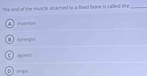 The end of the muscle attached to a fixed bone is called the_
A insertion
Bsynergist
C agonist
D origin