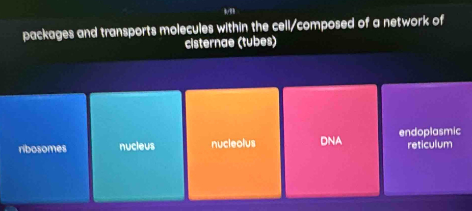 1/1
packages and transports molecules within the cell/composed of a network of
cisternae (tubes)
endoplasmic
DNA
ribosomes nucleus nucleolus reticulum