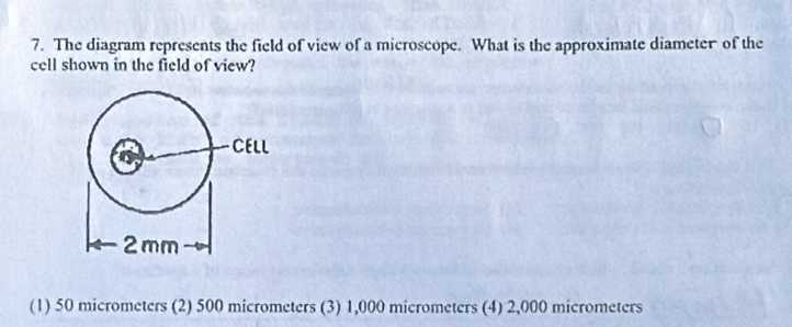 The diagram represents the field of view of a microscope. What is the approximate diameter of the
cell shown in the field of view?
(1) 50 micrometers (2) 500 micrometers (3) 1,000 micrometers (4) 2,000 micrometers