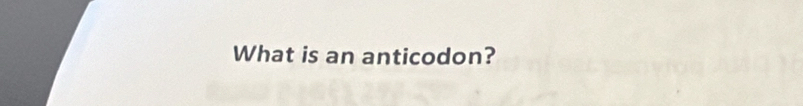 What is an anticodon?