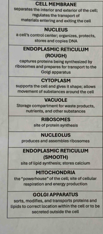 CELL MEMBRANE 
separates the interior and exterior of the cell; 
ts, 
y 
the 
ws 
ll 
s, 
lar 
and 
lto be