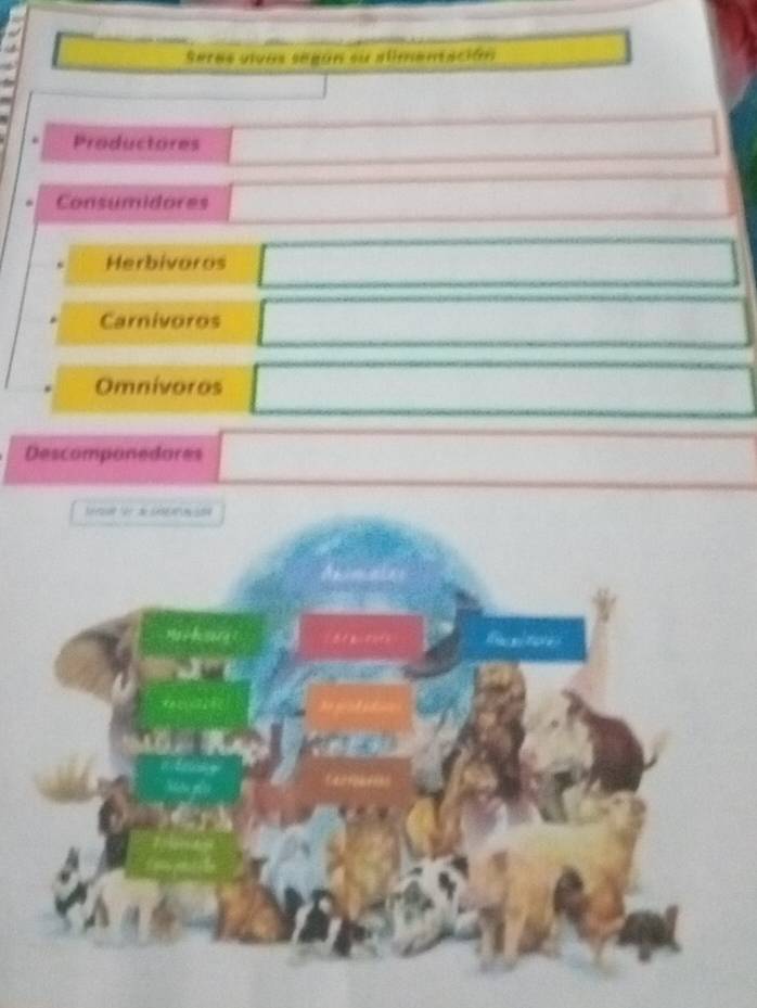 □  
Seres vivos según su alimentación 
Productores 
Consumidores 
Herbivaros x_1+x_2= □ /□   □  x_1+x_2= □ /□  
Carnivoros x_1+x_2= □ /□   (-3,4)
Omnivoros 
Descomponedores