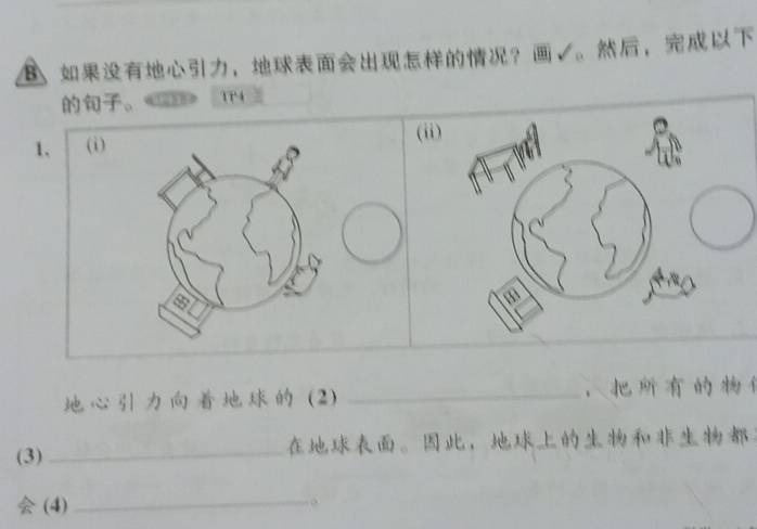 B、，？ 。， 
。 TP4 
1、 (1) (ii) 
(2) _， 
(3)_ 。， 
(4) 
_ 
o