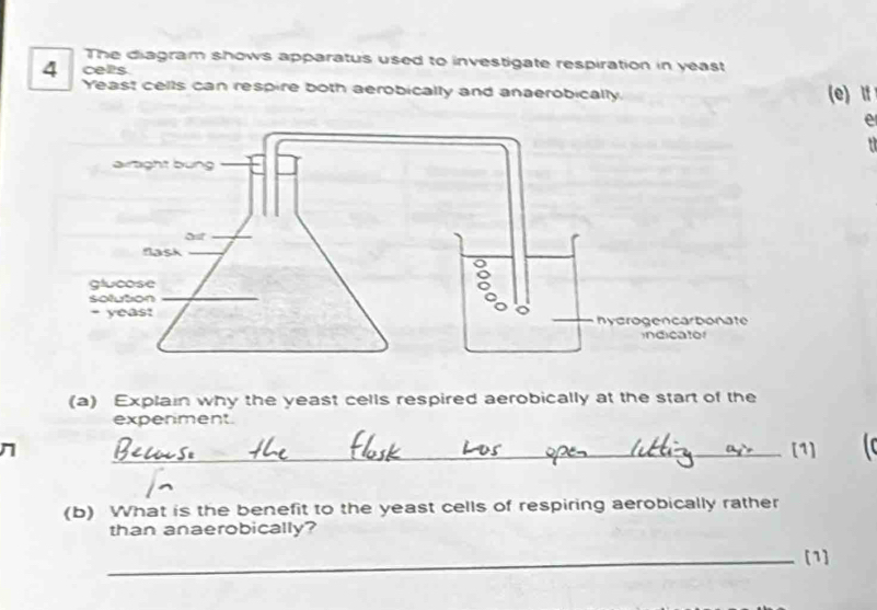 The diagram shows apparatus used to investigate respiration in yeast
4 celts 
Yeast cells can respire both aerobically and anaerobically. (e) If 
e 
(a) Explain why the yeast cells respired aerobically at the start of the 
expenment. 
n _[1] 
(b) What is the benefit to the yeast cells of respiring aerobically rather 
than anaerobically? 
_[1]