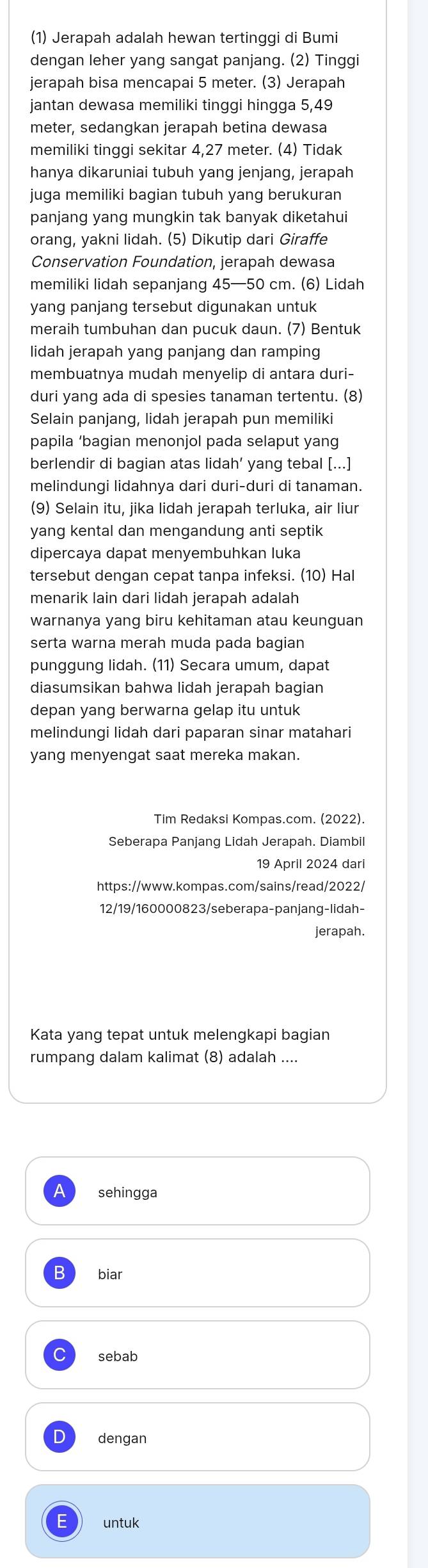 (1) Jerapah adalah hewan tertinggi di Bumi
dengan leher yang sangat panjang. (2) Tinggi
jerapah bisa mencapai 5 meter. (3) Jerapah
jantan dewasa memiliki tinggi hingga 5,49
meter, sedangkan jerapah betina dewasa
memiliki tinggi sekitar 4,27 meter. (4) Tidak
hanya dikaruniai tubuh yang jenjang, jerapah
juga memiliki bagian tubuh yang berukuran
panjang yang mungkin tak banyak diketahui
orang, yakni lidah. (5) Dikutip dari Giraffe
Conservation Foundation, jerapah dewasa
memiliki lidah sepanjang 45—50 cm. (6) Lidah
yang panjang tersebut digunakan untuk
meraih tumbuhan dan pucuk daun. (7) Bentuk
lidah jerapah yang panjang dan ramping
membuatnya mudah menyelip di antara duri-
duri yang ada di spesies tanaman tertentu. (8)
Selain panjang, lidah jerapah pun memiliki
papila ‘bagian menonjol pada selaput yang
berlendir di bagian atas lidah’ yang tebal [...]
melindungi lidahnya dari duri-duri di tanaman.
(9) Selain itu, jika lidah jerapah terluka, air liur
yang kental dan mengandung anti septik
dipercaya dapat menyembuhkan luka
tersebut dengan cepat tanpa infeksi. (10) Hal
menarik lain dari lidah jerapah adalah
warnanya yang biru kehitaman atau keunguan
serta warna merah muda pada bagian
punggung lidah. (11) Secara umum, dapat
diasumsikan bahwa lidah jerapah bagian
depan yang berwarna gelap itu untuk
melindungi lidah dari paparan sinar matahari
yang menyengat saat mereka makan.
Tim Redaksi Kompas.com. (2022).
Seberapa Panjang Lidah Jerapah. Diambil
19 April 2024 dari
https://www.kompas.com/sains/read/2022/
12/19/160000823/seberapa-panjang-lidah-
jerapah.
Kata yang tepat untuk melengkapi bagian
rumpang dalam kalimat (8) adalah ....
sehingga
B biar
sebab
dengan
untuk