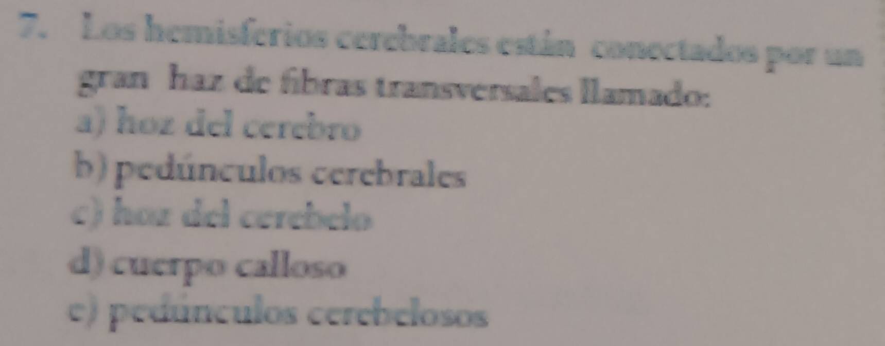 Los hemisferios cerebrales están conectados por un
gran haz de fíbras transversales llamado:
a) hoz del cerebro
b) pedúnculos cerebrales
c) hoz del cerebelo
d) cuerpo calloso
e) pedúnculos cerebelosos