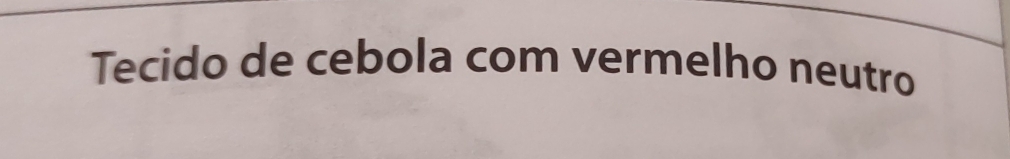 Tecido de cebola com vermelho neutro