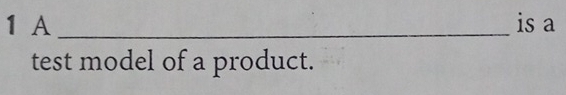 A _is a 
test model of a product.