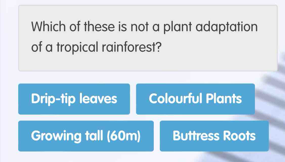 Which of these is not a plant adaptation
of a tropical rainforest?
Drip-tip leaves Colourful Plants
Growing tall (60m) Buttress Roots