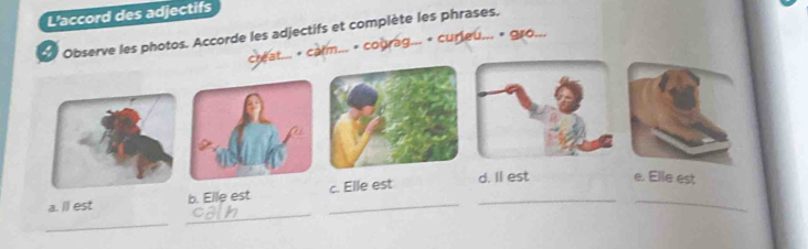 L'accord des adjectifs 
Observe les photos. Accorde les adjectifs et complète les phrases. 
creat * calm... « courag... + curleu... * 980... 
a. ll est b. Elle est _c. Elle est _d. Il est e. Elle est 
_ 
_