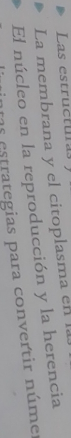 Las estructuras 
La membrana y el citoplasma en la 
El núcleo en la reproducción y la herencia 
as estrategias para convertir númer