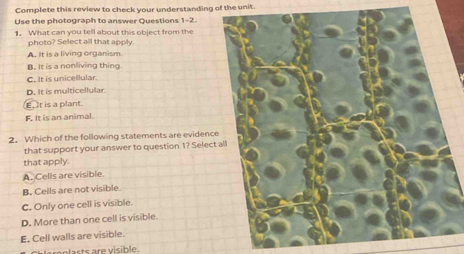 Complete this review to check your understanding of the unit.
Use the photograph to answer Questions 1-2.
1. What can you tell about this object from the
photo? Select all that apply.
A. It is a living organism.
B. It is a nonliving thing.
C. It is unicellular.
D. It is multicellular.
E. It is a plant.
F. It is an animal.
2. Which of the following statements are evidence
that support your answer to question 1? Select all
that apply.
A. Cells are visible.
B. Cells are not visible.
C. Only one cell is visible.
D. More than one cell is visible.
E. Cell walls are visible.
proplasts are visible.