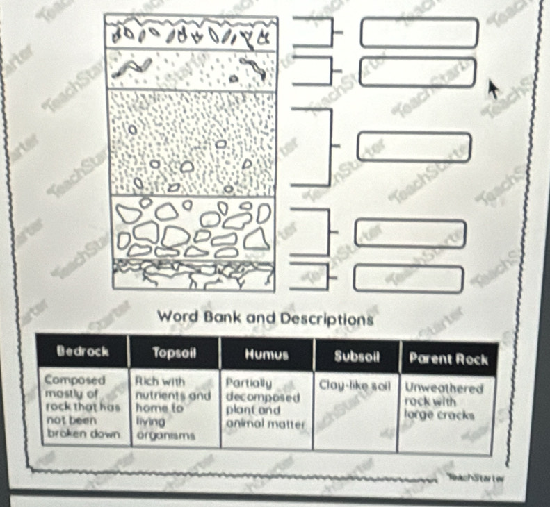 Word Bank and Descriptions 
ToachStarter