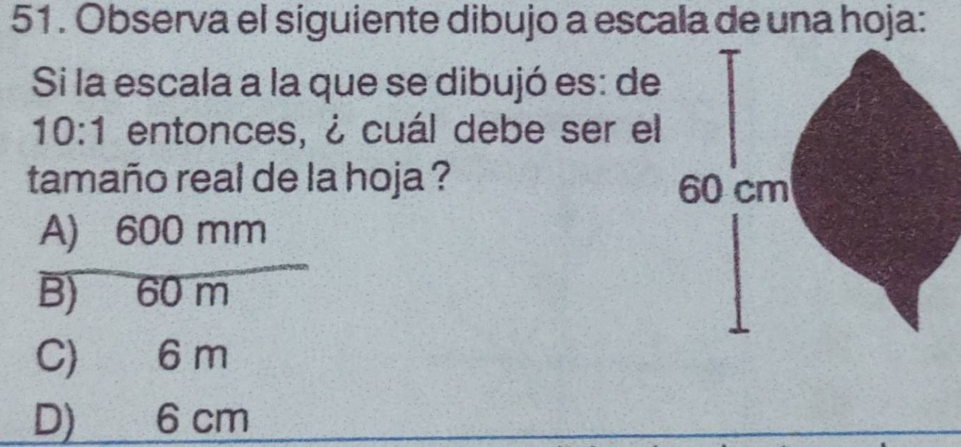 Observa el siguiente dibujo a escala de una hoja:
Si la escala a la que se dibujó es: de
10:1 entonces, ¿ cuál debe ser el
tamaño real de la hoja ?
A) 600 mm
B) 60 m
C) 6 m
D) 6 cm