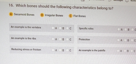 Which bones should the following characteristics belong to?
A Sesamoid Bones C Flat Bones
An example is the vertebra A□ B□ C Specific roles A
An example is the ribs A□ B□ C Protection A □ B
Reducing stress or friction A□ B□ C An example is the patella ^ || r