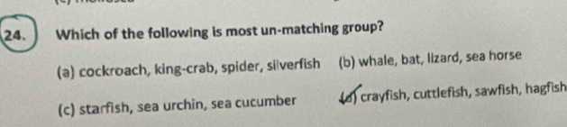 Which of the following is most un-matching group?
(a) cockroach, king-crab, spider, silverfish (b) whale, bat, lizard, sea horse
(c) starfish, sea urchin, sea cucumber (d) crayfish, cuttlefish, sawfish, hagfish