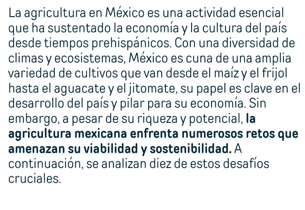 La agricultura en México es una actividad esencial 
que ha sustentado la economía y la cultura del país 
desde tiempos prehispánicos. Con una diversidad de 
climas y ecosistemas, México es cuna de una amplia 
variedad de cultivos que van desde el maíz y el frijol 
hasta el aguacate y el jitomate, su papel es clave en el 
desarrollo del país y pilar para su economía. Sin 
embargo, a pesar de su riqueza y potencial, la 
agricultura mexicana enfrenta numerosos retos que 
amenazan su viabilidad y sostenibilidad. A 
continuación, se analizan diez de estos desafíos 
cruciales.