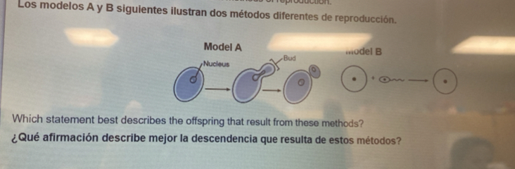 outction. 
Los modelos A y B siguientes ilustran dos métodos diferentes de reproducción. 
Model A model B 
Nucieus Bud 
Which statement best describes the offspring that result from these methods? 
¿Qué afirmación describe mejor la descendencia que resulta de estos métodos?