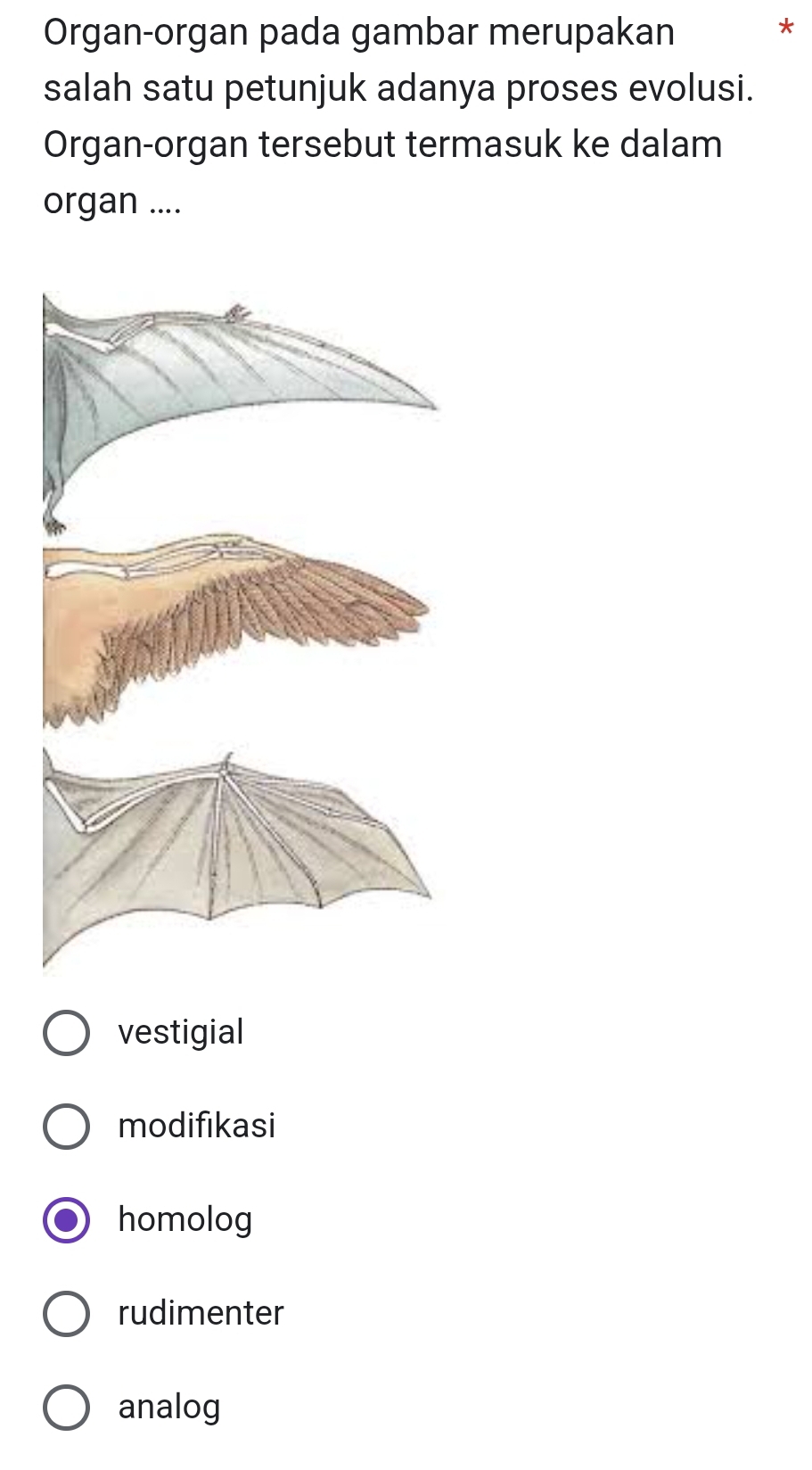 Organ-organ pada gambar merupakan
*
salah satu petunjuk adanya proses evolusi.
Organ-organ tersebut termasuk ke dalam
organ ....
vestigial
modifikasi
homolog
rudimenter
analog