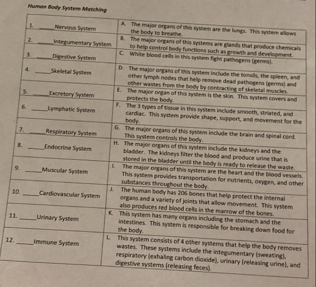 Human Body System Matching 
. 
r 
1 
11 
12.