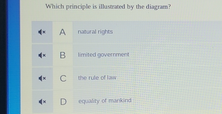 Which principle is illustrated by the diagram?
A natural rights
x B limited government
C the rule of law
equality of mankind