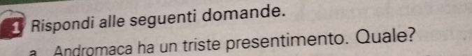 Rispondi alle seguenti domande. 
Andromaca ha un triste presentimento. Quale?