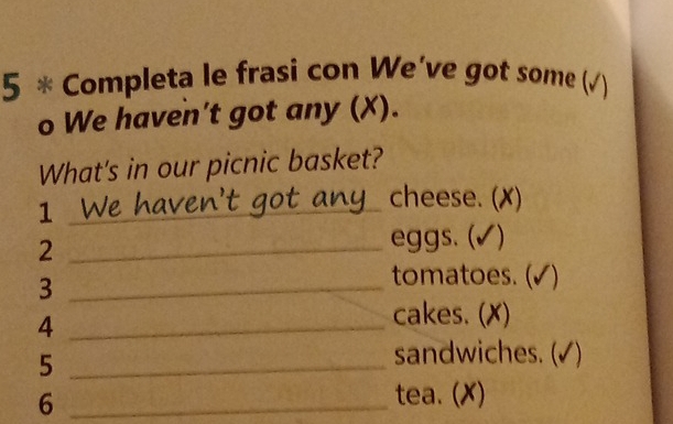 Completa le frasi con We've got some (√)
o We haven't got any (X).
What's in our picnic basket?
1 _We haven't got any cheese. (✗)
_2
eggs. (√)
_3
tomatoes. (√)
_4
cakes. (✗)
_5
sandwiches. (√)
_6
tea. (✗)