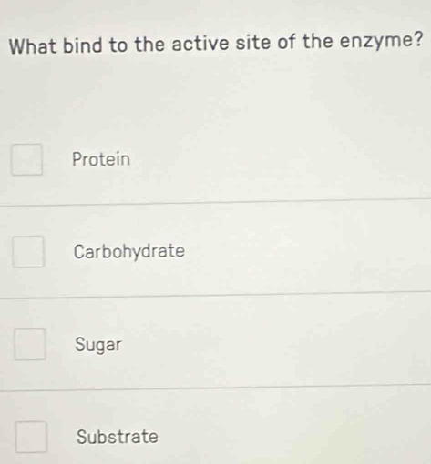 What bind to the active site of the enzyme?
Protein
Carbohydrate
Sugar
Substrate