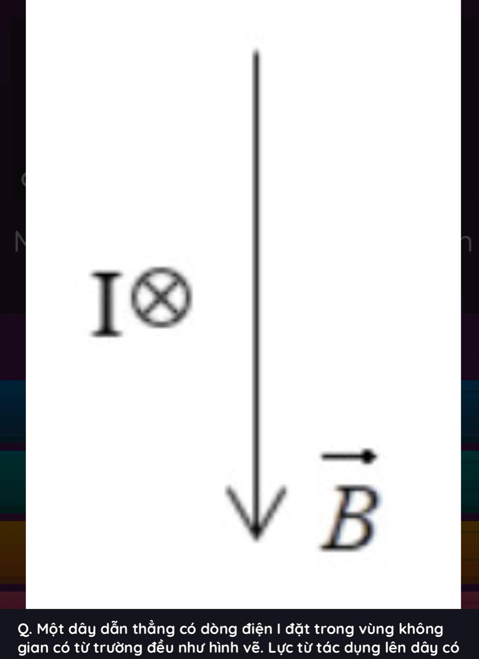 downarrow vector B
Q. Một dây dẫn thẳng có dòng điện I đặt trong vùng không 
gian có từ trường đều như hình vẽ. Lực từ tác dụng lên dây có